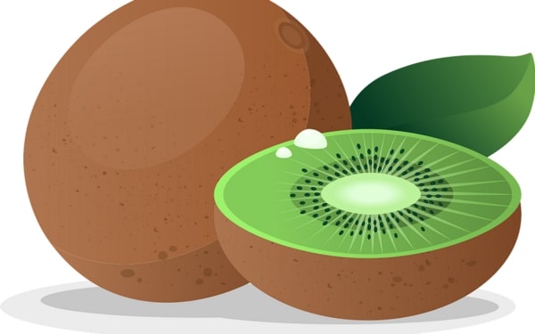 un kiwi